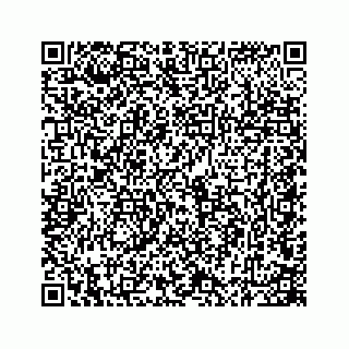 vCard 78165272865