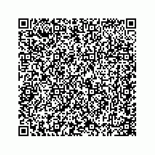 vCard 78165272889