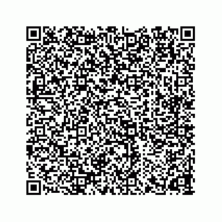 vCard 78165273132