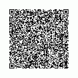 vCard 78165273314