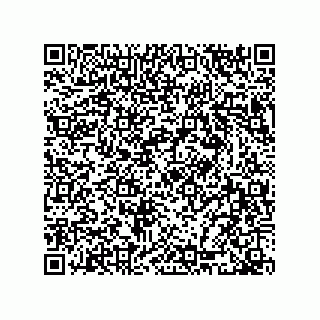 vCard 78165361003
