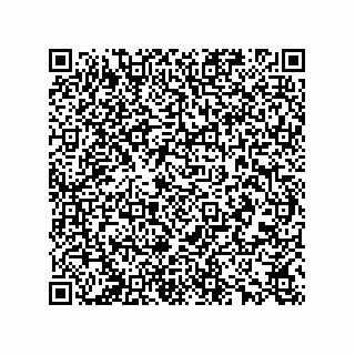 vCard 78165361013