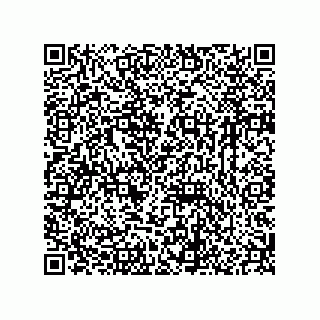 vCard 78165361100