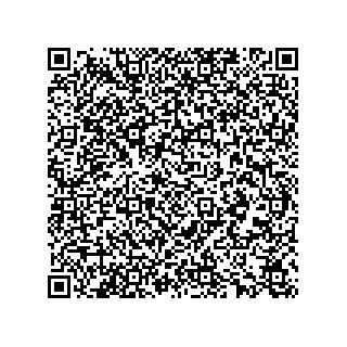 vCard 78165361133