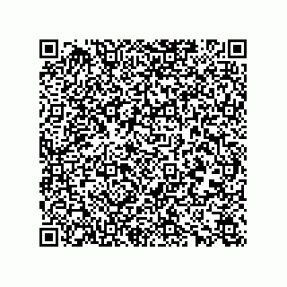 vCard 78165361221