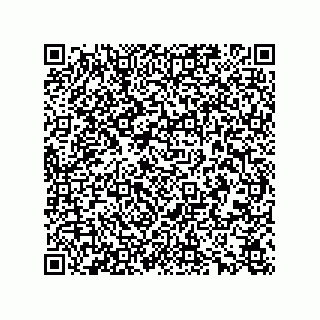vCard 78165361295