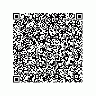 vCard 78165361313
