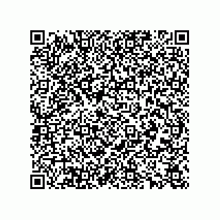 vCard 78165361333
