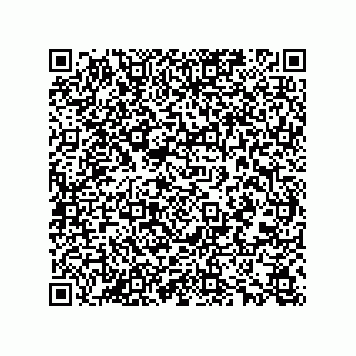 vCard 78165361377