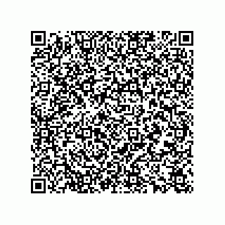 vCard 78165361379