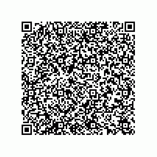 vCard 78165361381