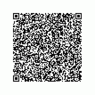 vCard 78165361383
