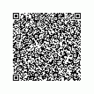vCard 78165361387