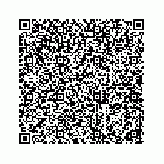 vCard 78165746313