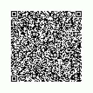 vCard 78165746333