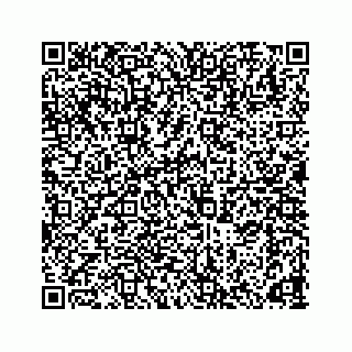 vCard 78165746380