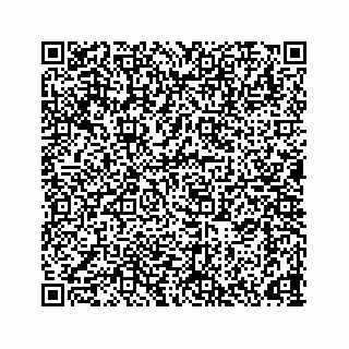 vCard 78165746381