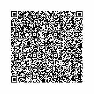 vCard 78165746403