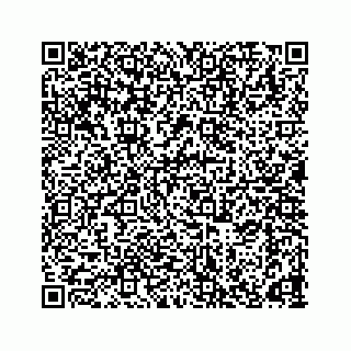 vCard 78165746413