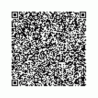 vCard 78165747533