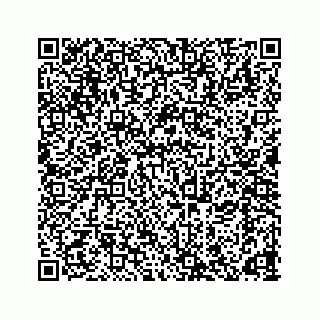 vCard 78165953241
