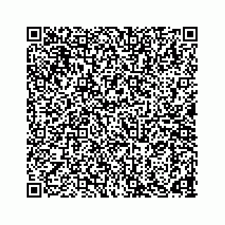 vCard 78165958131