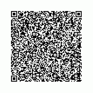 vCard 78165958133