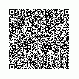 vCard 78165958221