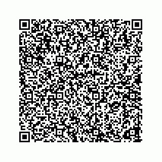 vCard 78165958332