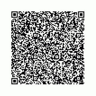 vCard 78165958381