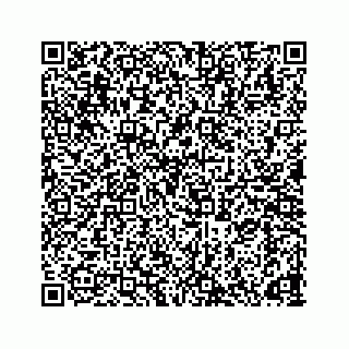 vCard 78165958382