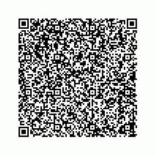 vCard 78165958383
