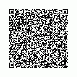 vCard 78165958388