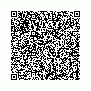 vCard 78165958403