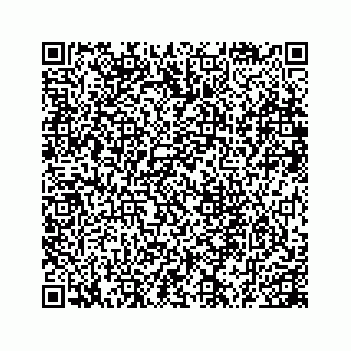 vCard 78165958409