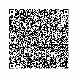 vCard 78165959168