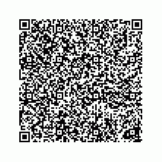 vCard 78165959263