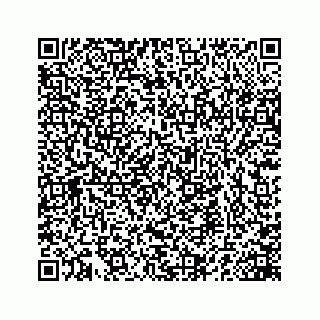 vCard 78165959267