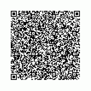 vCard 78166030803