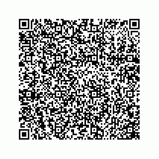 vCard 78166264128