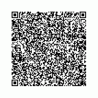 vCard 78166264131