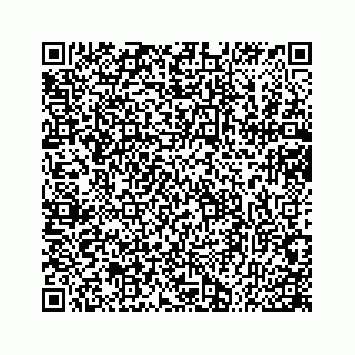 vCard 78166264133