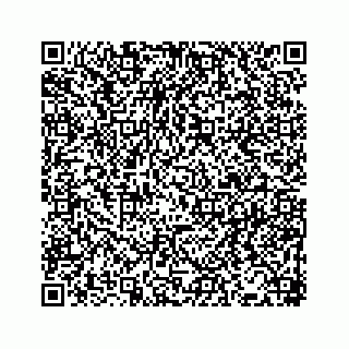 vCard 78166440003
