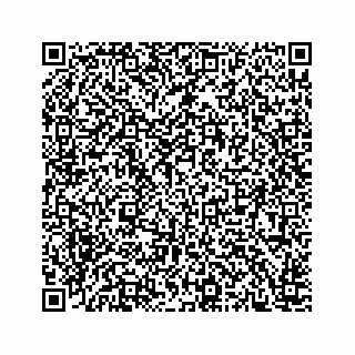 vCard 78166440013
