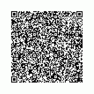 vCard 78166449913