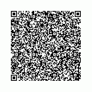 vCard 78166449918