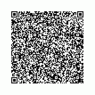 vCard 78166449919