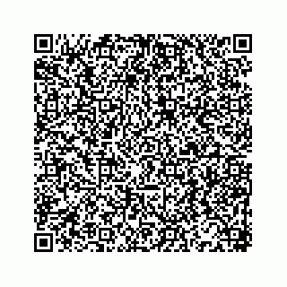 vCard 78166449989