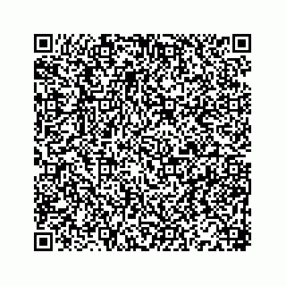 vCard 78166449993