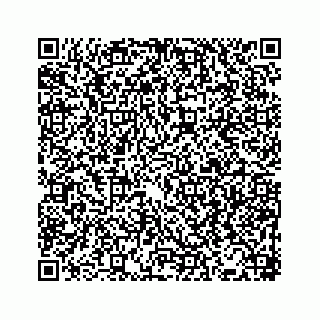 vCard 78166450041